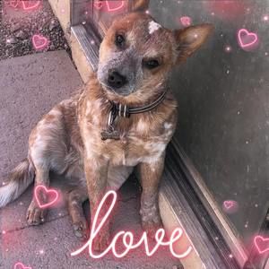 Meet your Posher, Stacy